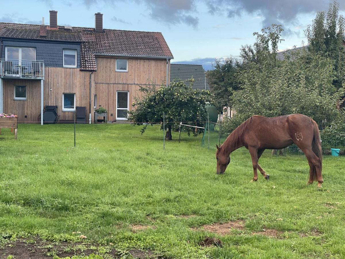 Urlaub Auf Dem Land Apartment Triepkendorf Exterior foto